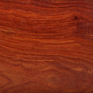 Snake Bean - pen blank