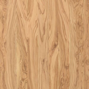 Wild Olive - pen blank